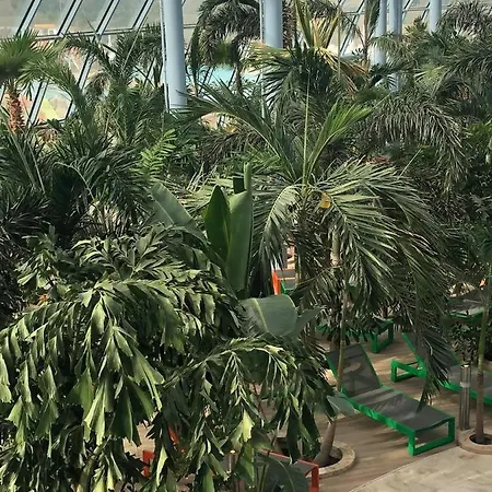 Grabska Osada - 100m Od Suntago Park-domki Ogrzewane Całoroczne Ośrodek wypoczynkowy Mszczonów